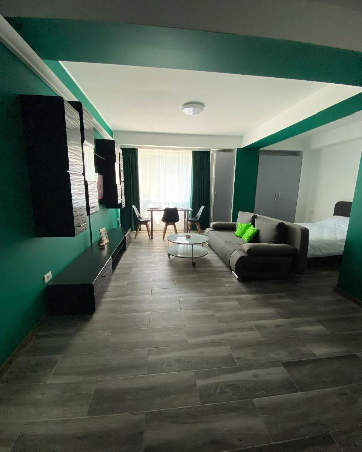Green Studio Năvodari Екстериор снимка
